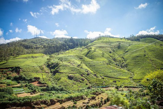 To nejlepší ze Srí Lanky + NÁRODNÍ PARKY + NEJKRÁSNĚJŠÍ PLÁŽ OSTROVA 