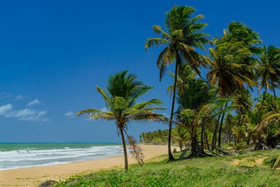 Relax na plážích Brazílie + KOLONIÁLNÍ PERLA SALVADOR + AFRICKÉ DĚDICTVÍ 