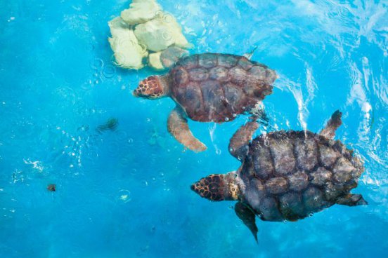 Relax na plážích Brazílie + KOLONIÁLNÍ PERLA SALVADOR + AFRICKÉ DĚDICTVÍ 