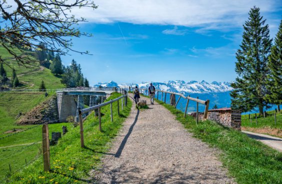 Lehká turistika ve Švýcarsku