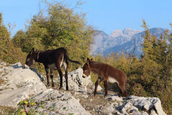 Turistický zájezd Albánie - možnost prodloužení u moře