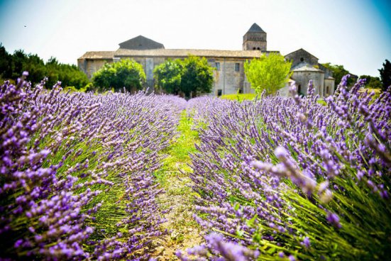 To nejkrásnější z Provence + MELOUNOVÝ FESTIVAL + CHÂTEAUNEUF-DU-PAPE 