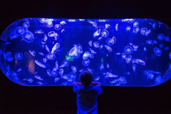 Paříž pro rodiče a děti + DISNEYLAND 