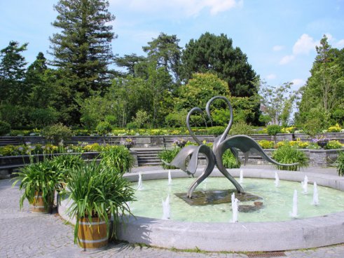 Květinový ostrov Mainau, nejstarší zubačka na Rigi, perly Bodamského jezera