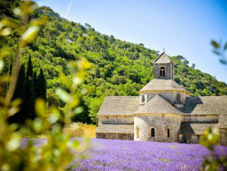To nejkrásnější z Provence + CANNES 