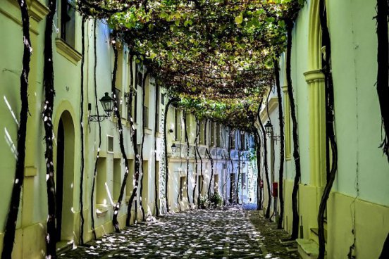 To nejlepší ze Sevilly + ANTICKÁ ITALICA + VINNÉ SKLEPY JEREZ DE LA FRONTERA 