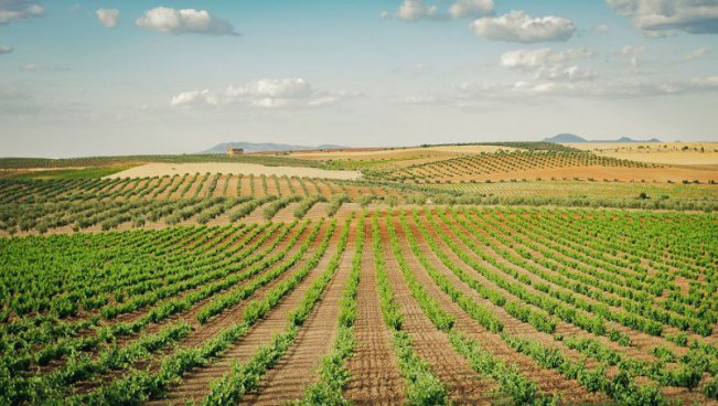 Španělská Extremadura + ŘÍMSKÉ DĚDICTVÍ + GURMÁNSKÉ TRADICE REGIONU 