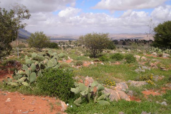 MAROKO - MARRÁKEŠ, FES, ATLAS A SAHARA