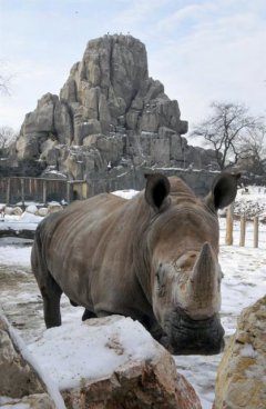 Tropicarium a ZOO Budapešť