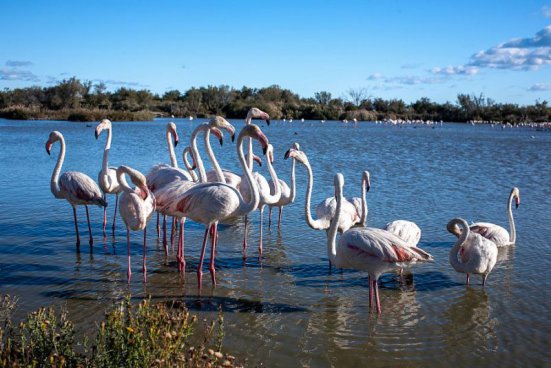 To nejkrásnější z Provence + CANNES 