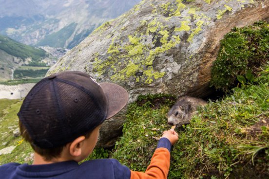 Švýcarské velehory, svišti i ledovce se vstupy v ceně