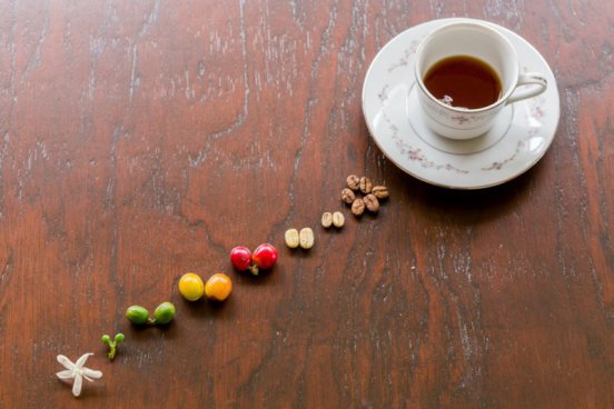 Kolumbie - ztracený ráj, odkud se nebudete chtít vrátit domů