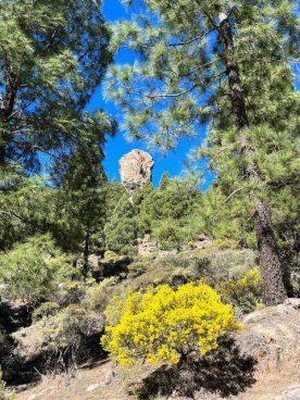Gran Canaria - ostrov věčnosti