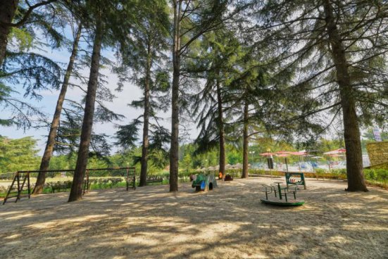 Hotel Mediteran (Poreč)