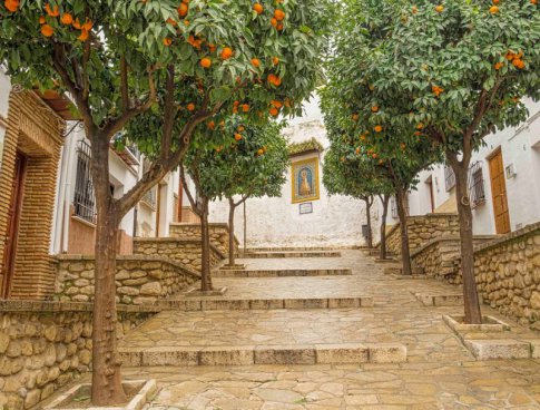 To nejlepší z Andalusie + GIBRALTAR + KOUPÁNÍ NA POBŘEŽÍ COSTA DEL SOL 
