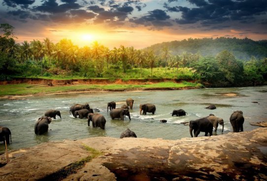 SRÍ LANKA – ZA KRÁSAMI EXOTICKÉHO OSTROVA