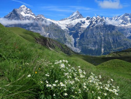 Švýcarsko - Bernské Alpy
