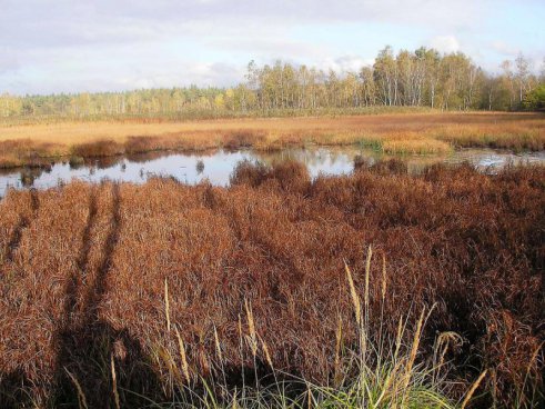 Lázeňský trojúhelník, Francké Švýcarsko a Smrčiny