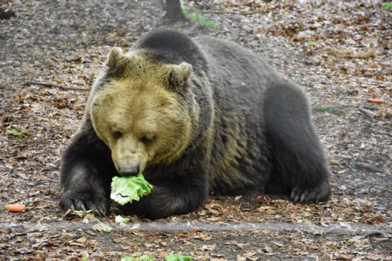 Poznávací zájezd Bulharsko letecky – neobjevené skvosty
