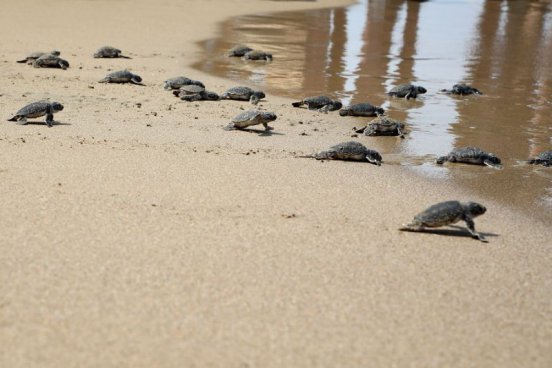 Relax na plážích Kypru + JÍZDA DŽÍPY + RUČNÍ VÝROBA SÝRU HALLOUMI 