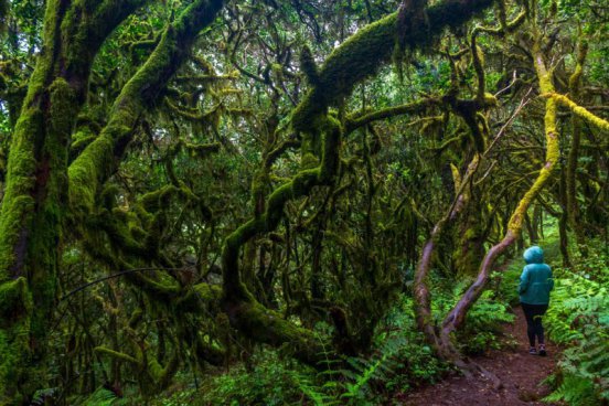 La Gomera – pěšky napříč zapomenutým klenotem Kanárů, odlet z Katovic