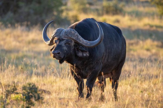 JAR - STOLOVÁ HORA, SAFARI A VINICE