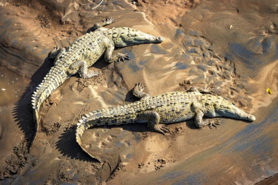 Kostarika - zelené srdce Střední Ameriky, vstupy do NP v ceně