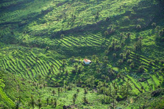 La Gomera – pěšky napříč zapomenutým klenotem Kanárů, odlet z Prahy