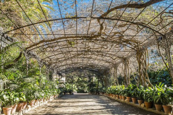 To nejlepší z Málagy + BÍLÉ MĚSTO ANTEQUERA + STEZKA KAŇONEM EL CHORRO 