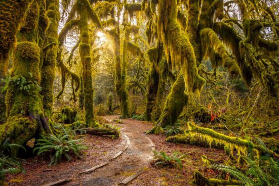 Yellowstone a přírodní krásy severozápadu USA