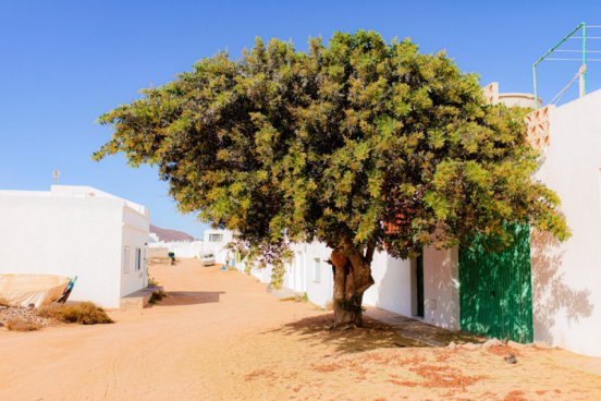 Lanzarote zrozené z ohně a vod Atlantiku