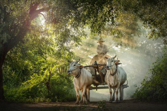 Kambodža autenticky – cesta do srdce chrámů a pralesa