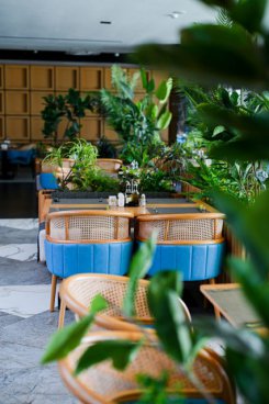 Hotel Royal G Max
