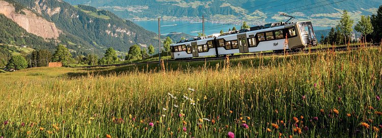 Rozkvetlé jarní Švýcarsko