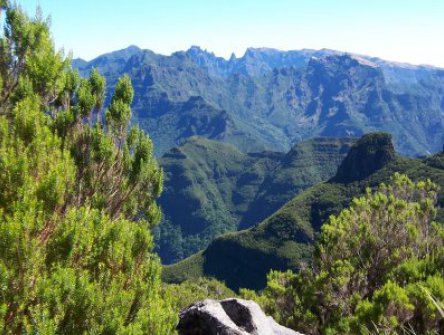 Madeira - exotický ráj na dosah, květinový ostrov věčného jara