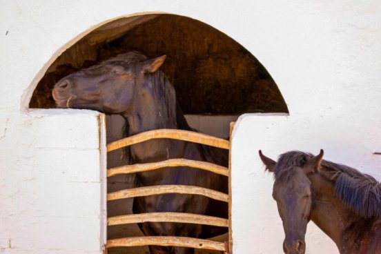 Nejkrásnější pláže Menorcy