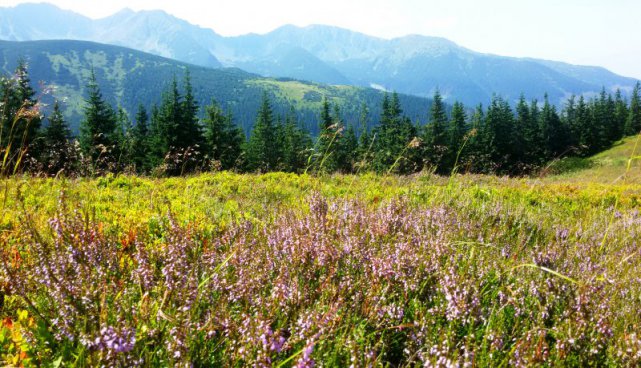 NP Malá Fatra a Západní Tatry ze slovenské i polské strany