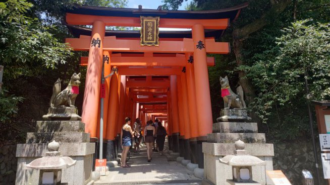 JAPONSKO – okruh na Honšú, památky UNESCO i metropole v době květu sakur