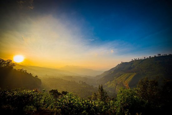 To nejlepší ze Srí Lanky + NÁRODNÍ PARKY + NEJKRÁSNĚJŠÍ PLÁŽ OSTROVA 