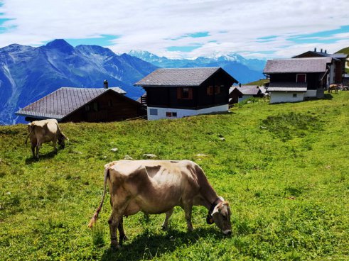 Perly švýcarských Alp, malebný Wallis