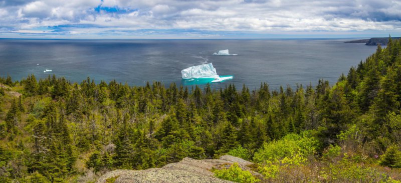 NEWFOUNDLAND – bájný vikingský Vinland 
