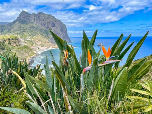 Madeira na Silvestra, odlet z Katovic