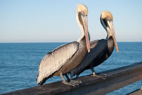 To nejlepší z Floridy + UNIVERSAL STUDIOS + SLAVNÉ PLÁŽE S KOUPÁNÍM 