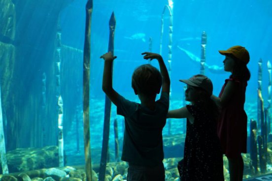 Delfinárium a ZOO v Norimberku