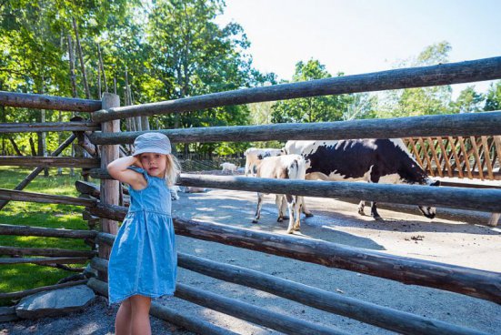 To nejlepší z Helsinek + STOCKHOLM + PLAVBA TRAJEKTEM BALTSKÝM MOŘEM 