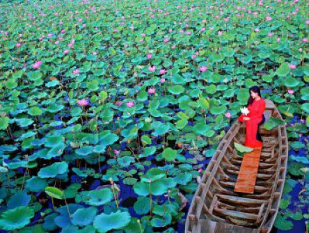 Vietnam - Zemí tisíce vůní od severu k jihu