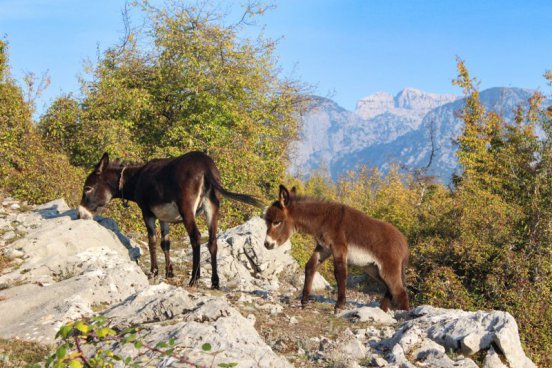 Albánská špička - turistika, která bere dech, odlet z Prahy