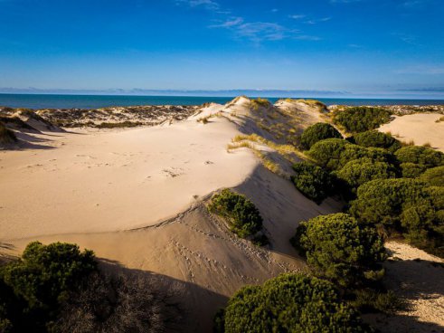Cádizský záliv + NÁRODNÍ PARK DOÑANA + VINAŘSTVÍ OSBORNE S OCHUTNÁVKOU SHERRY 