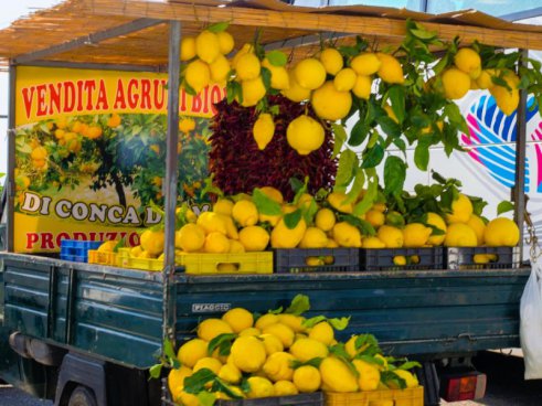 Chutě ostrovů Ischia a Procida
