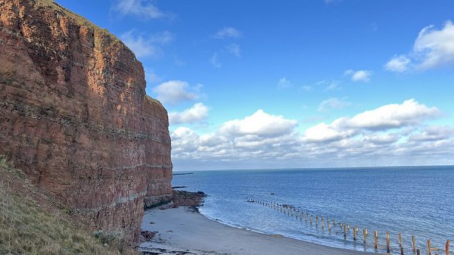 Tuleni na dosah ruky na ostrově Helgoland - 2 noci